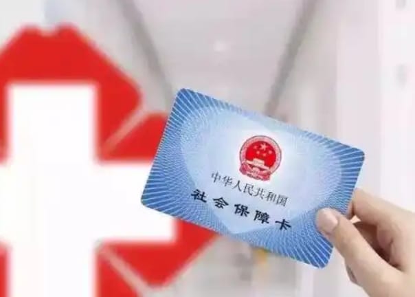 团队成员
